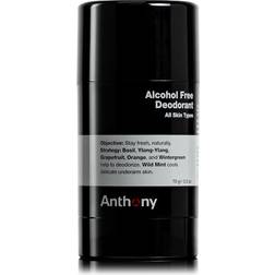 Anthony Alcohol Free, Aluminum Free Deodorant â Non-Irritant Cool Gel